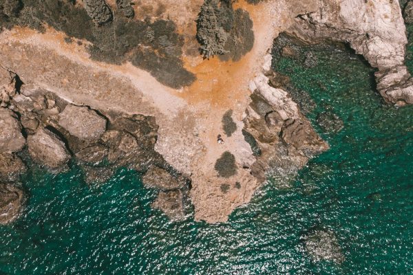 pexels-zoe13c-9017994